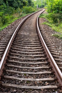 A lonely railway track winds its way through a green, overgrown landscape, 400-year-old avenue of