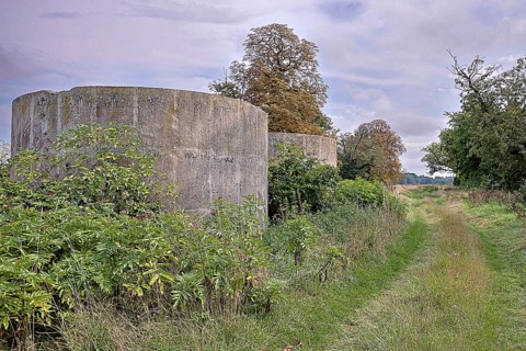Abandoned silo buildings next to an overgrown country lane under a cloudy sky, 400 year old lime