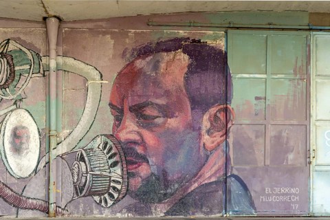Realistic portrait of a man with a microphone painted on a wall, at the harbour Linz Upper Austria