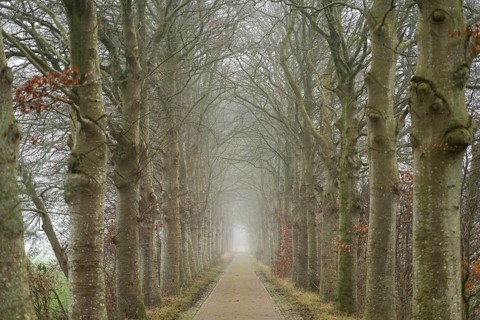 All about Nienoord Castle in the fog, Leek, Groningen, Netherlands