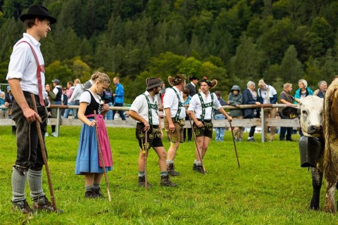 Cattle drive, cattle drive, shepherd, shepherdess, lederhosen, dirndl, traditional traditional