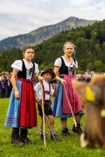 Cattle drive, cattle drive, domestic cattle (Bovidae), shepherdess, children, lederhosen, dirndl,
