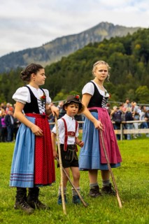 Cattle drive, cattle drive, domestic cattle (Bovidae), shepherdess, children, lederhosen, dirndl,