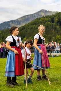 Cattle drive, cattle drive, domestic cattle (Bovidae), shepherdess, children, lederhosen, dirndl,
