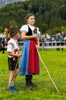 Cattle drive, cattle drive, domestic cattle (Bovidae), shepherdess, children, lederhosen, dirndl,