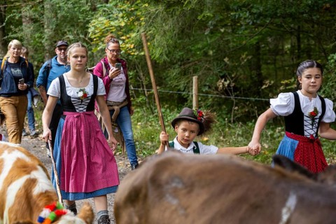 Cattle drive, cattle drive, domestic cattle (Bovidae), shepherdess, children, lederhosen, dirndl,