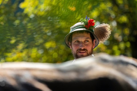 Cattle drive, herdsman, portrait, felt hat, chamois beard, traditional traditional costume,