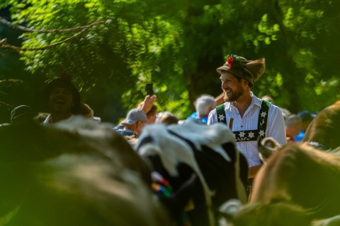 Cattle drive, herdsman, portrait, felt hat, chamois beard, traditional traditional costume,