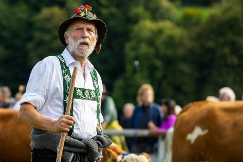 Cattle drive, herdsman, portrait, felt hat, chamois beard, traditional traditional costume,