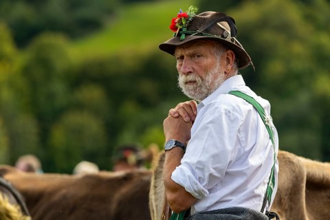 Cattle drive, herdsman, portrait, felt hat, chamois beard, traditional traditional costume,