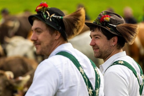 Cattle drive, herdsmen, portrait, felt hat, chamois beard, traditional traditional costume,