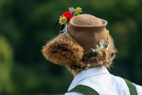 Cattle drive, cattle drive, alpine herdsman, felt hat, chamois beard, traditional traditional