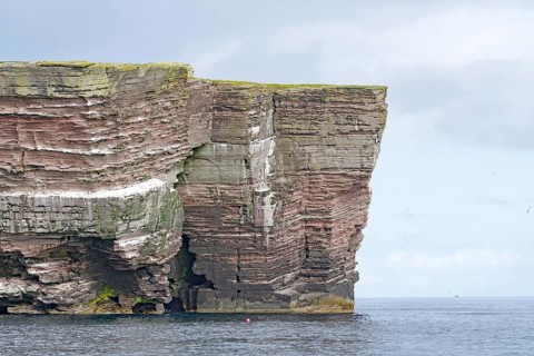 Massive red rock formations rise steeply from the sea, Isle of Noss, Shetland Islands, Scotland,