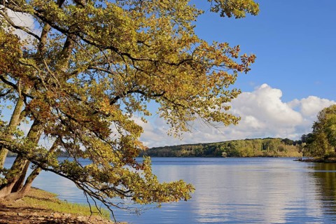 View of Lake Möhne, reflection, autumn atmosphere, blue cloudy sky, Möhne Dam, North