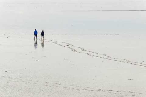 Nordseeküste, Wattenmeer, Personen gehen bei Ebbe durch das Watt, Norddeich, Niedersachsen,