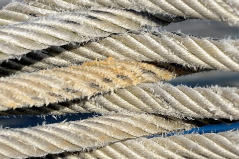 Thick ship jam, close-up, North Sea, Norddeich, Lower Saxony, Germany