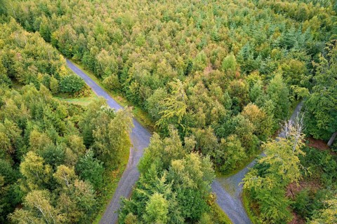 View over an autumnal mixed forest with forest paths, Arnsberg Forest nature park Park, North