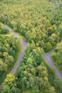 View over an autumnal mixed forest with forest paths, Arnsberg Forest nature park Park, North