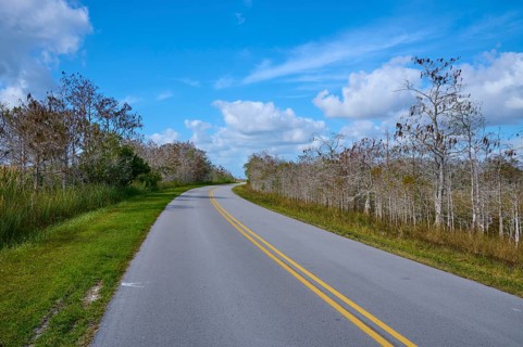 Deserted country road with pale blue sky and trees surrounded by nature, Everglades National Park,