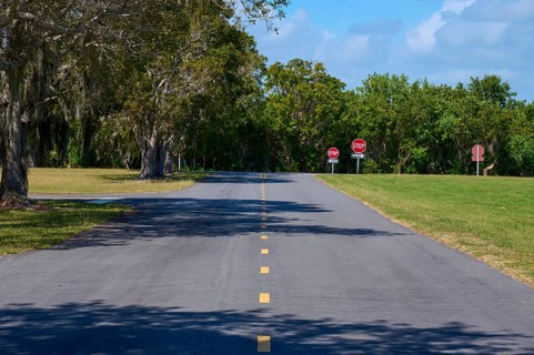 A tarmac road with no stopping signs and surrounded by trees, Flamingo, Everglades National Park,