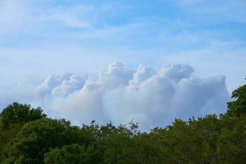 Clouds of smoke due to forest fire over green trees in a clear blue sky, Everglades National Park,
