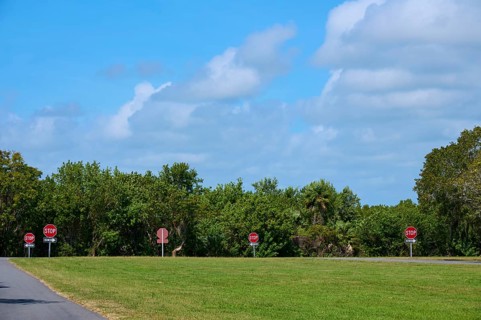 Several stop signs along a road with lush greenery and clear skies, Flamingo, Everglades National
