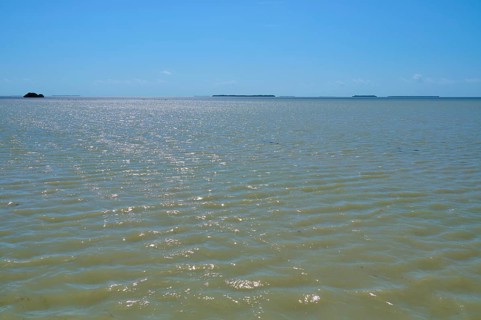 View over the glittering surface of the sea under a clear sky, Flamingo, Everglades National Park,