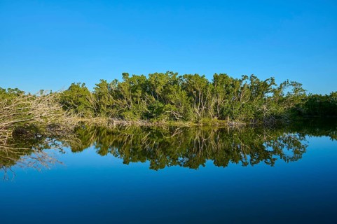 Trees reflected in a calm lake under a blue sky, Eco Pond, Flamingo, Everglades National Park,