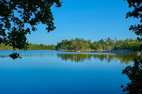 Tranquil seascape with surrounding trees and clear blue sky, Eco Pond, Flamingo, Everglades