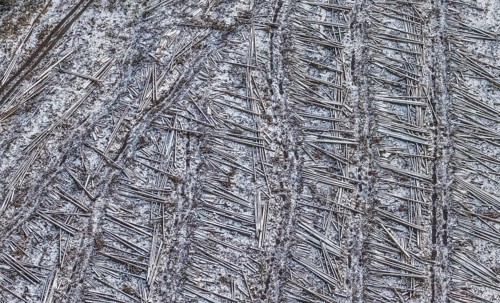 Aerial view of felled trees, lying tree trunks in winter with snow at the Südrandweg in Körbecke in