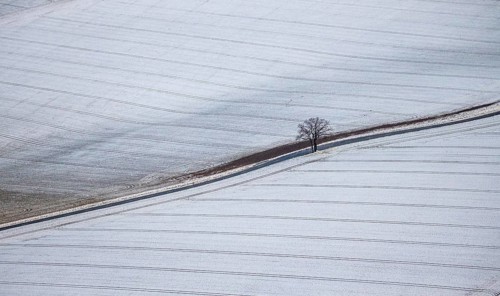 Aerial view of a dirt road with a lonely tree in winter with snow and view of Körbecke in Möhnesee