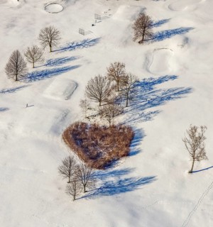 Aerial view, heart-shaped bushes in a winter landscape in the golf course of Raffelberg racecourse,