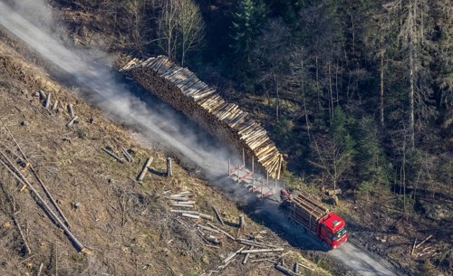Forest damage, timber storage site and removal by lorry in the forest area near Neuhaus,