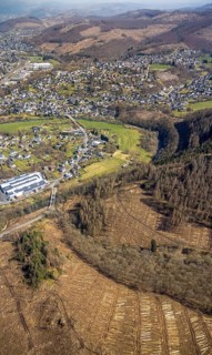 Forest damage and clear cutting, Brachbach, Siegerland, Rhineland-Palatinate, Germany, 2 bridges