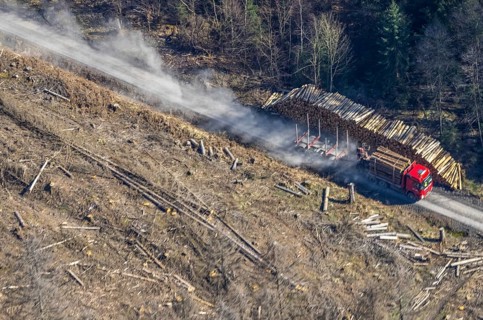 Forest damage, timber storage site and removal by lorry in the forest area near Neuhaus,