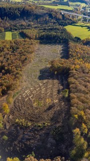 Aerial view, forest area with forest damage in the district Wennemen in Meschede, Sauerland, North