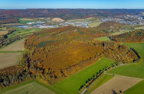 Aerial view, forest area in autumn colours at the industrial area Enste in the district Berghausen