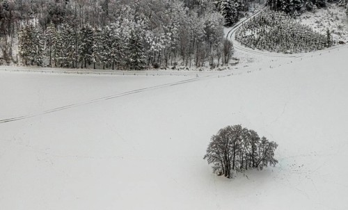 Aerial view of the winter landscape in Mosebolle with a group of trees and tracks in the snow near