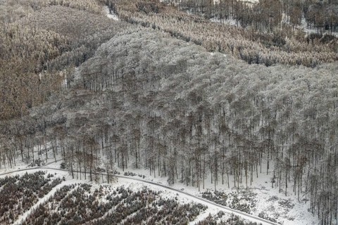 Aerial view of the Arnsberg Forest near Meschede in winter with snow in the Sauerland in North
