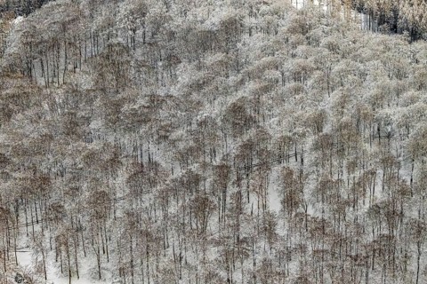 Aerial view of the Arnsberg Forest near Meschede in winter with snow in the Sauerland in North