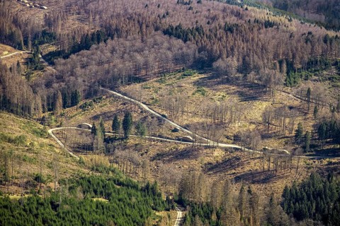 Aerial photo, forest damage and forest dieback, Wennemer Höhweg, Wennemen, Meschede, Sauerland,