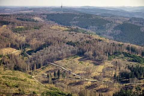 Aerial photo, forest damage and forest dieback, Wennemer Höhweg, Wennemen, Meschede, Sauerland,