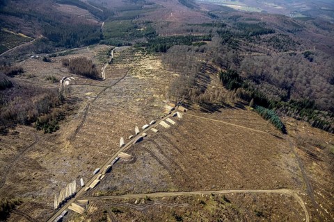 Aerial photo, forest damage and forest dieback, Wennemer Höhweg, Wennemen, Meschede, Sauerland,