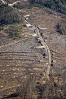 Aerial photo, forest damage and forest dieback, Wennemer Höhweg, Wennemen, Meschede, Sauerland,