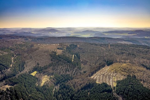 Aerial photo, forest damage and forest dieback, Wennemer Höhweg, Wennemen, Meschede, Sauerland,