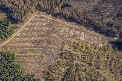 Aerial photo, forest damage and forest dieback, Wennemer Höhweg, Wennemen, Meschede, Sauerland,