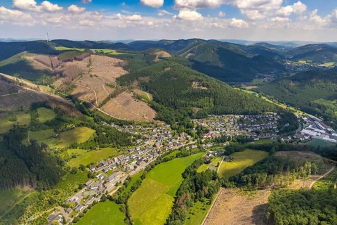 Aerial view, forest area with forest damage, local view Kickenbach and Langenei, Altenhundem,