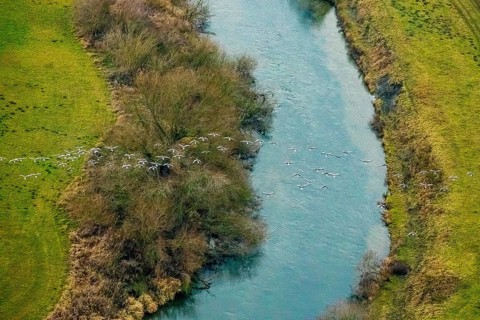 Aerial view of the national nature reserve Lippeauen at the river Lippe with the observation hut