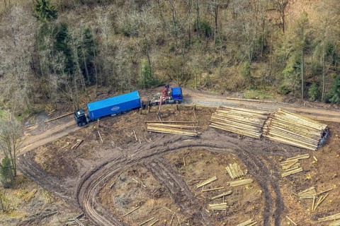Aerial view, harvester and lorry removal, forest damage at Kihlenberg, Kruberg, Kirchhundem,