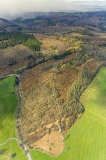 Aerial view, forest damage at Kihlenberg, Kruberg, Kirchhundem, Sauerland, Olpe district, North